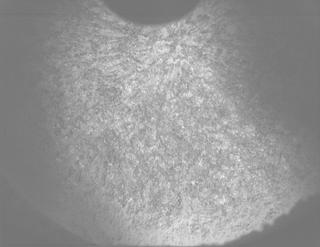 View image taken on Mars, Mars Perseverance Sol 1261: PIXL Camera 