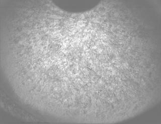 View image taken on Mars, Mars Perseverance Sol 1261: PIXL Camera 