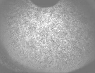 View image taken on Mars, Mars Perseverance Sol 1261: PIXL Camera 