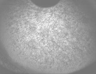 View image taken on Mars, Mars Perseverance Sol 1261: PIXL Camera 