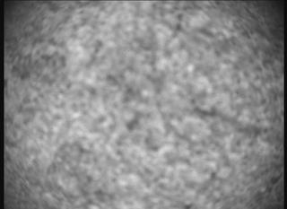 View image taken on Mars, Mars Perseverance Sol 1261: SHERLOC ACI Camera 