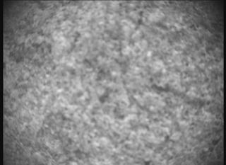 View image taken on Mars, Mars Perseverance Sol 1261: SHERLOC ACI Camera 