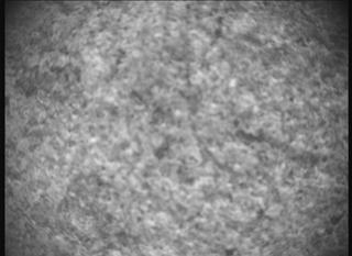 View image taken on Mars, Mars Perseverance Sol 1261: SHERLOC ACI Camera 