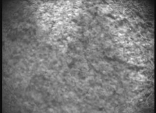 View image taken on Mars, Mars Perseverance Sol 1261: SHERLOC ACI Camera 