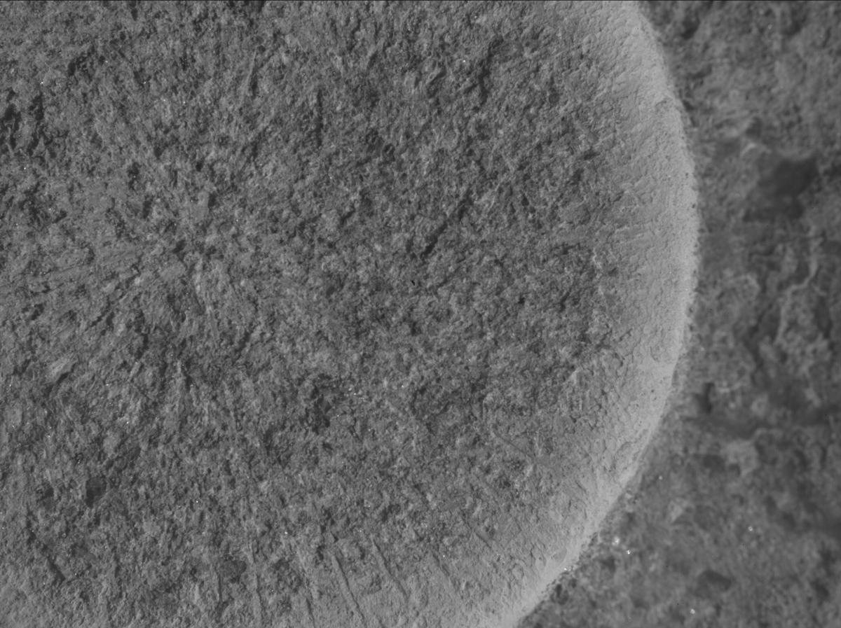 This image was taken by SHERLOC_WATSON onboard NASA's Mars rover Perseverance on Sol 1261