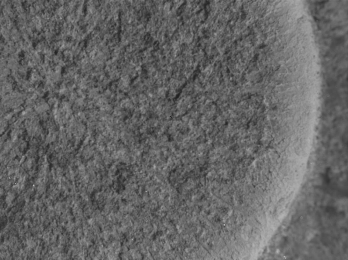 This image was taken by SHERLOC_WATSON onboard NASA's Mars rover Perseverance on Sol 1261