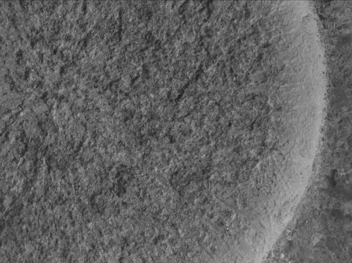 This image was taken by SHERLOC_WATSON onboard NASA's Mars rover Perseverance on Sol 1261