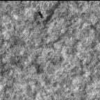 View image taken on Mars, Mars Perseverance Sol 1261: WATSON Camera 