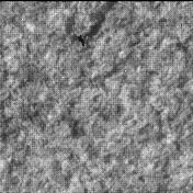 This image was taken by SHERLOC_WATSON onboard NASA's Mars rover Perseverance on Sol 1261