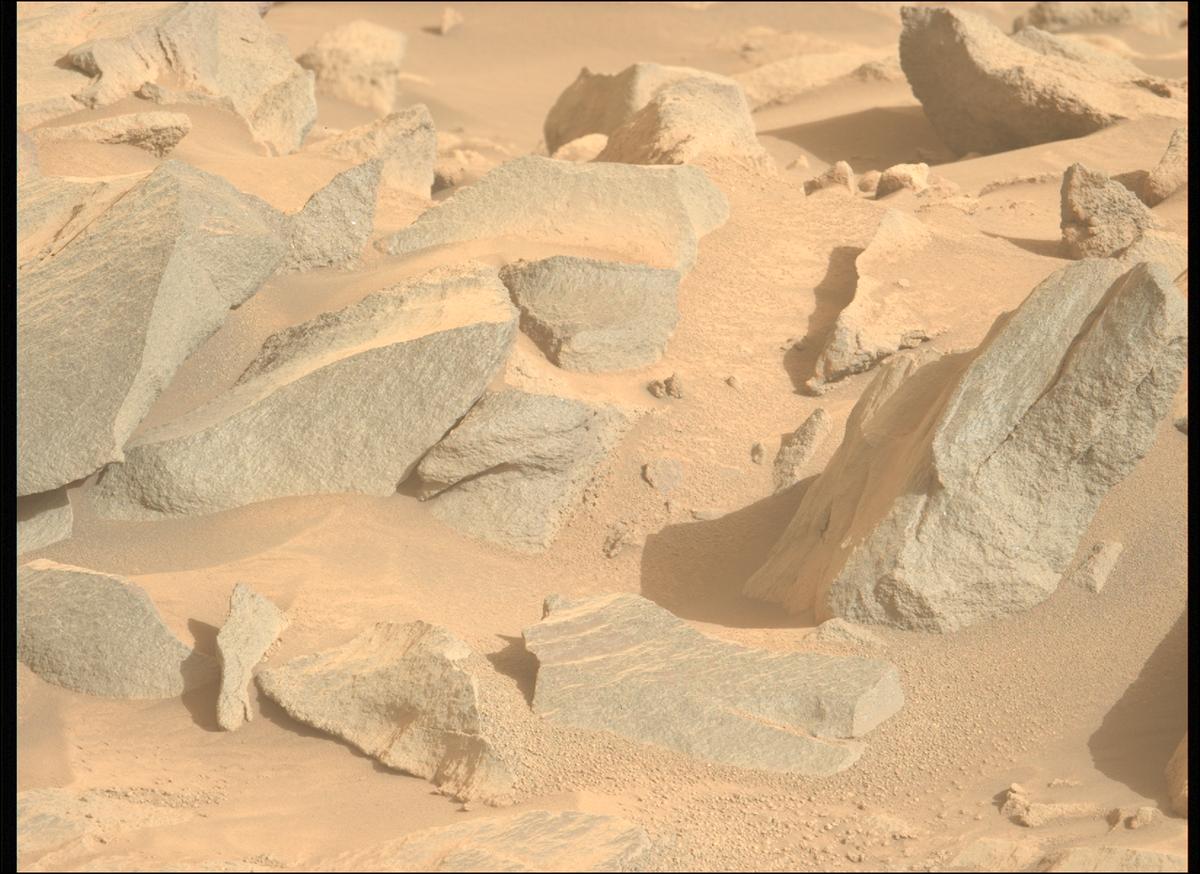 This image was taken by MCZ_LEFT onboard NASA's Mars rover Perseverance on Sol 1263