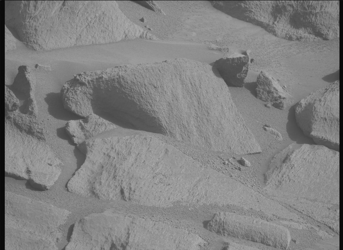 This image was taken by MCZ_LEFT onboard NASA's Mars rover Perseverance on Sol 1263