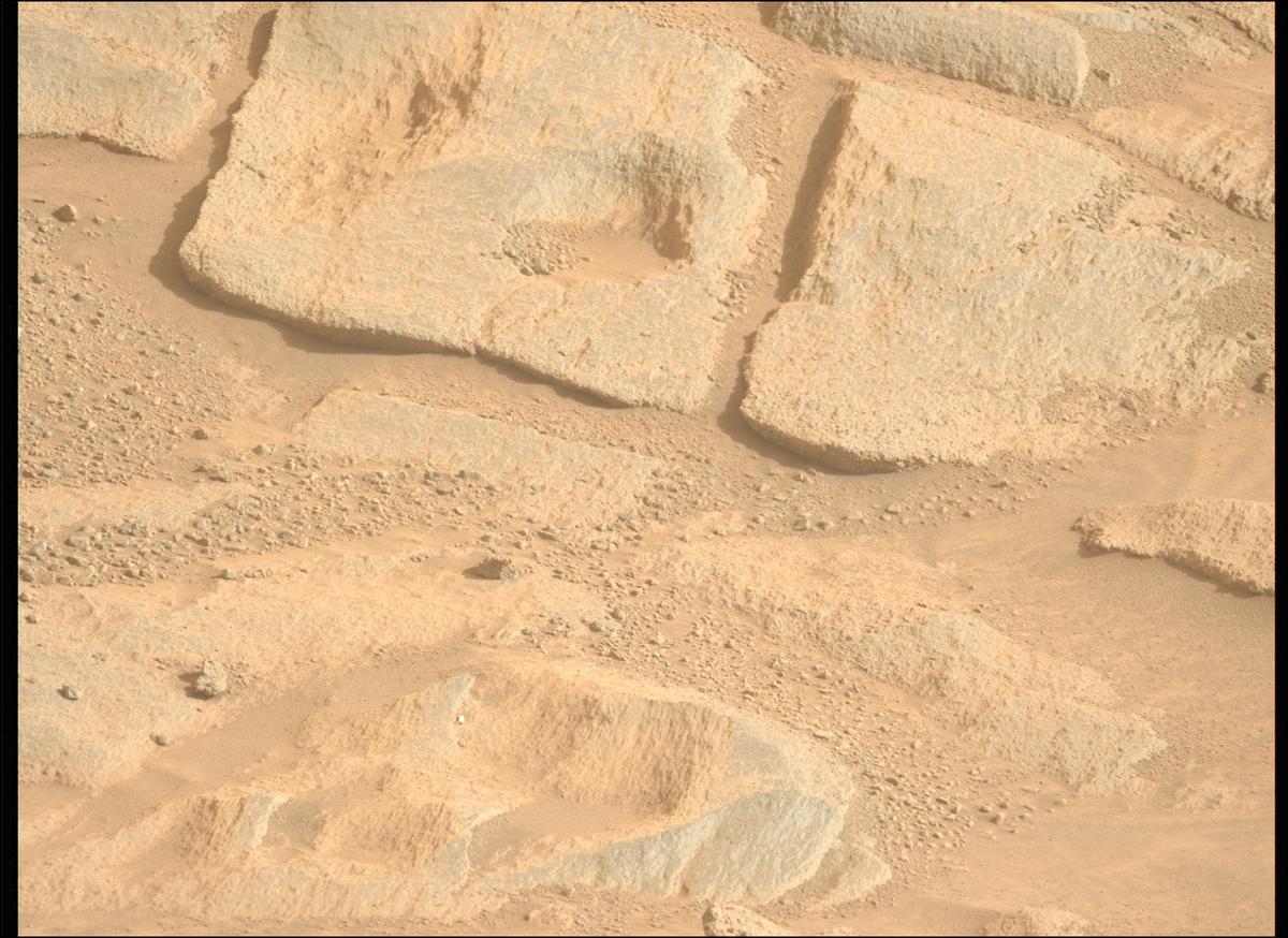 This image was taken by MCZ_LEFT onboard NASA's Mars rover Perseverance on Sol 1263