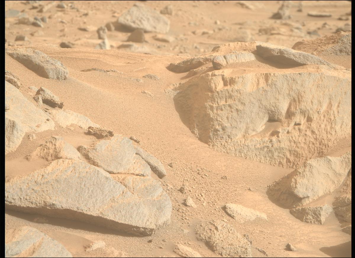 This image was taken by MCZ_RIGHT onboard NASA's Mars rover Perseverance on Sol 1263