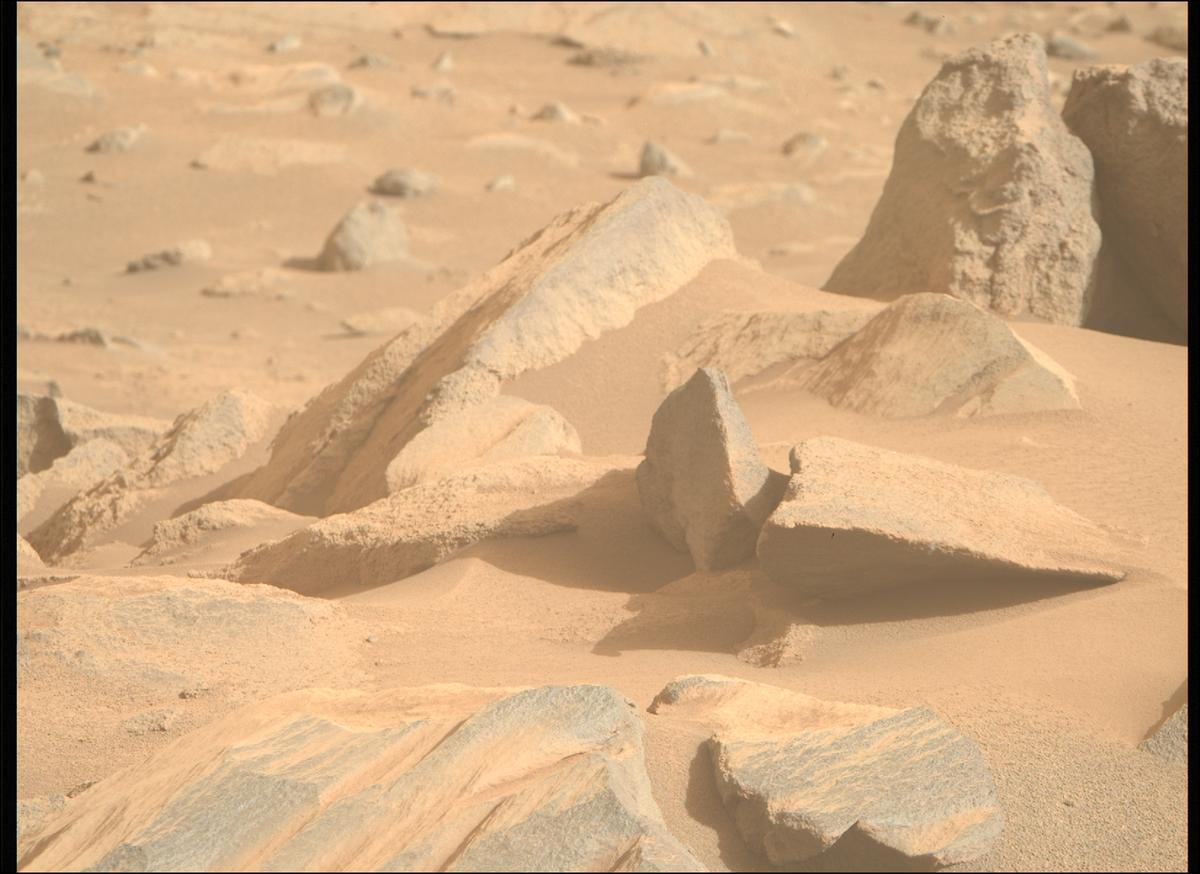 This image was taken by MCZ_RIGHT onboard NASA's Mars rover Perseverance on Sol 1263