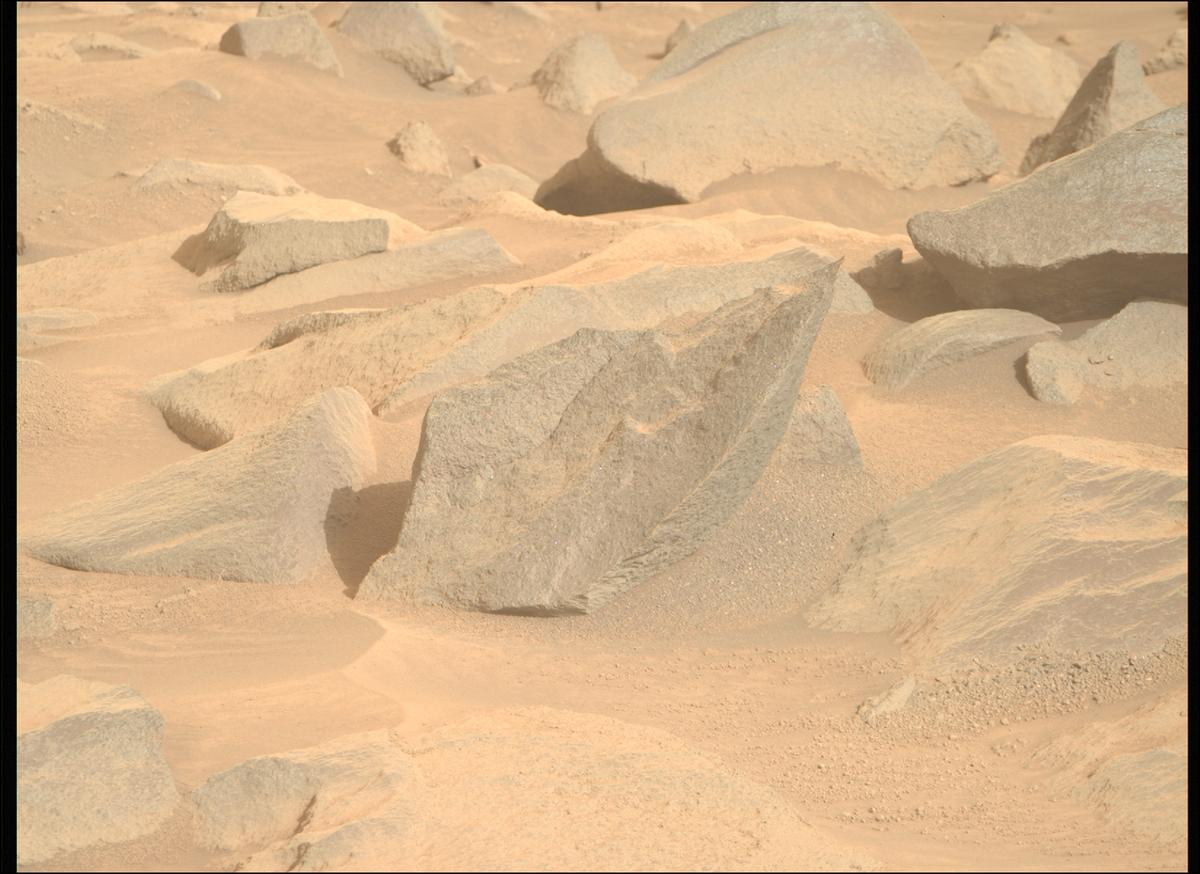This image was taken by MCZ_RIGHT onboard NASA's Mars rover Perseverance on Sol 1263