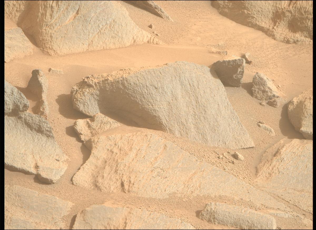This image was taken by MCZ_RIGHT onboard NASA's Mars rover Perseverance on Sol 1263
