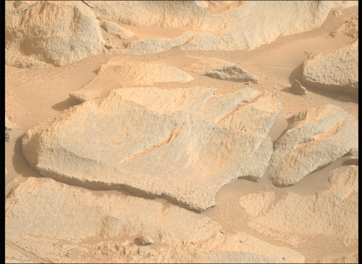 This image was taken by MCZ_RIGHT onboard NASA's Mars rover Perseverance on Sol 1263