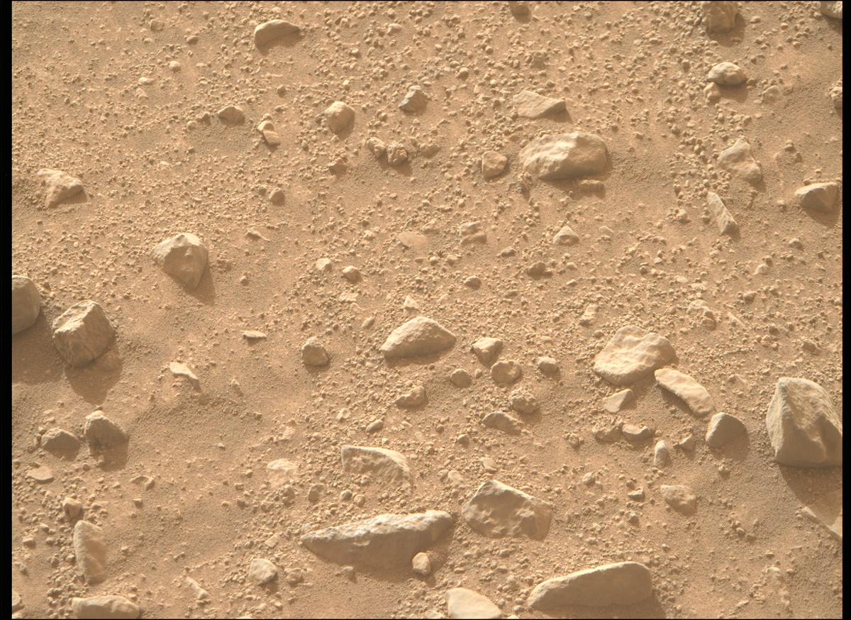 This image was taken by MCZ_RIGHT onboard NASA's Mars rover Perseverance on Sol 1264