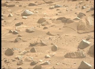 View image taken on Mars, Mars Perseverance Sol 1265: Left Mastcam-Z Camera