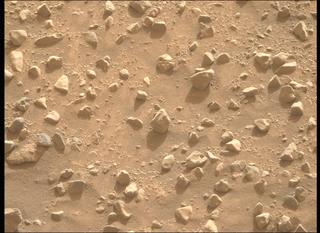 View image taken on Mars, Mars Perseverance Sol 1265: Right Mastcam-Z Camera