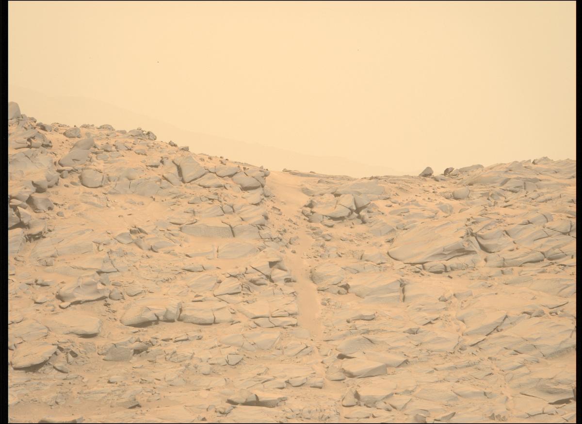 This image was taken by MCZ_LEFT onboard NASA's Mars rover Perseverance on Sol 1266