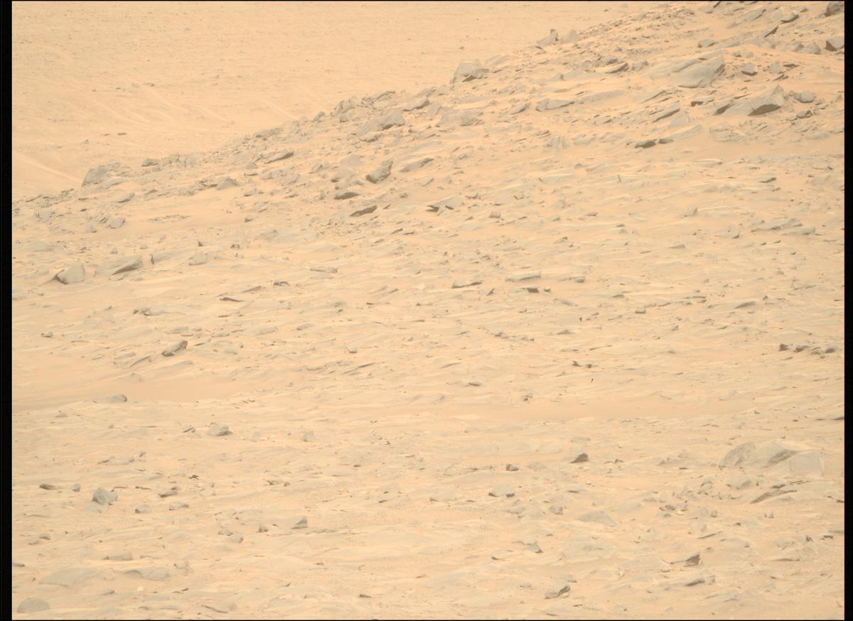 This image was taken by MCZ_RIGHT onboard NASA's Mars rover Perseverance on Sol 1266