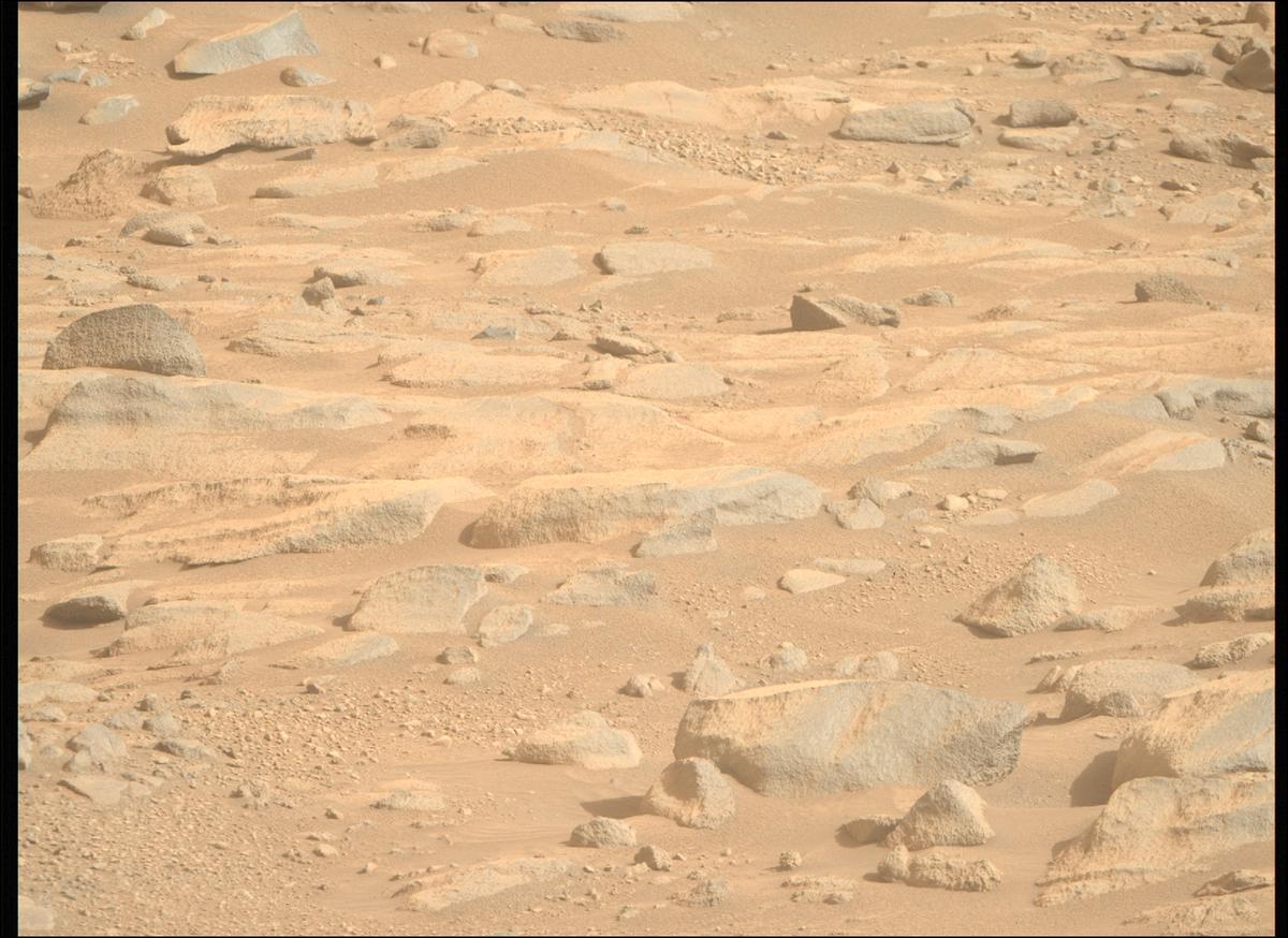 This image was taken by MCZ_RIGHT onboard NASA's Mars rover Perseverance on Sol 1266