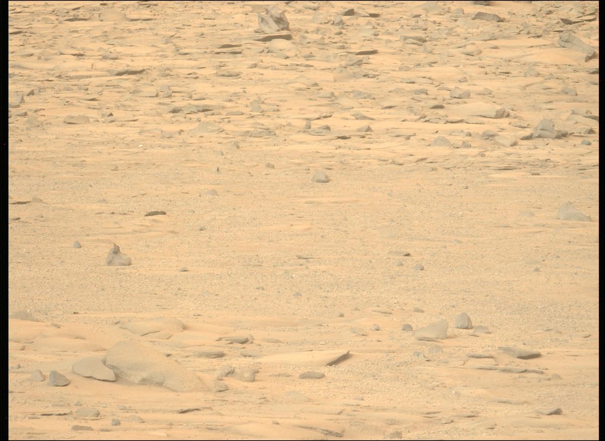 This image was taken by MCZ_LEFT onboard NASA's Mars rover Perseverance on Sol 1270