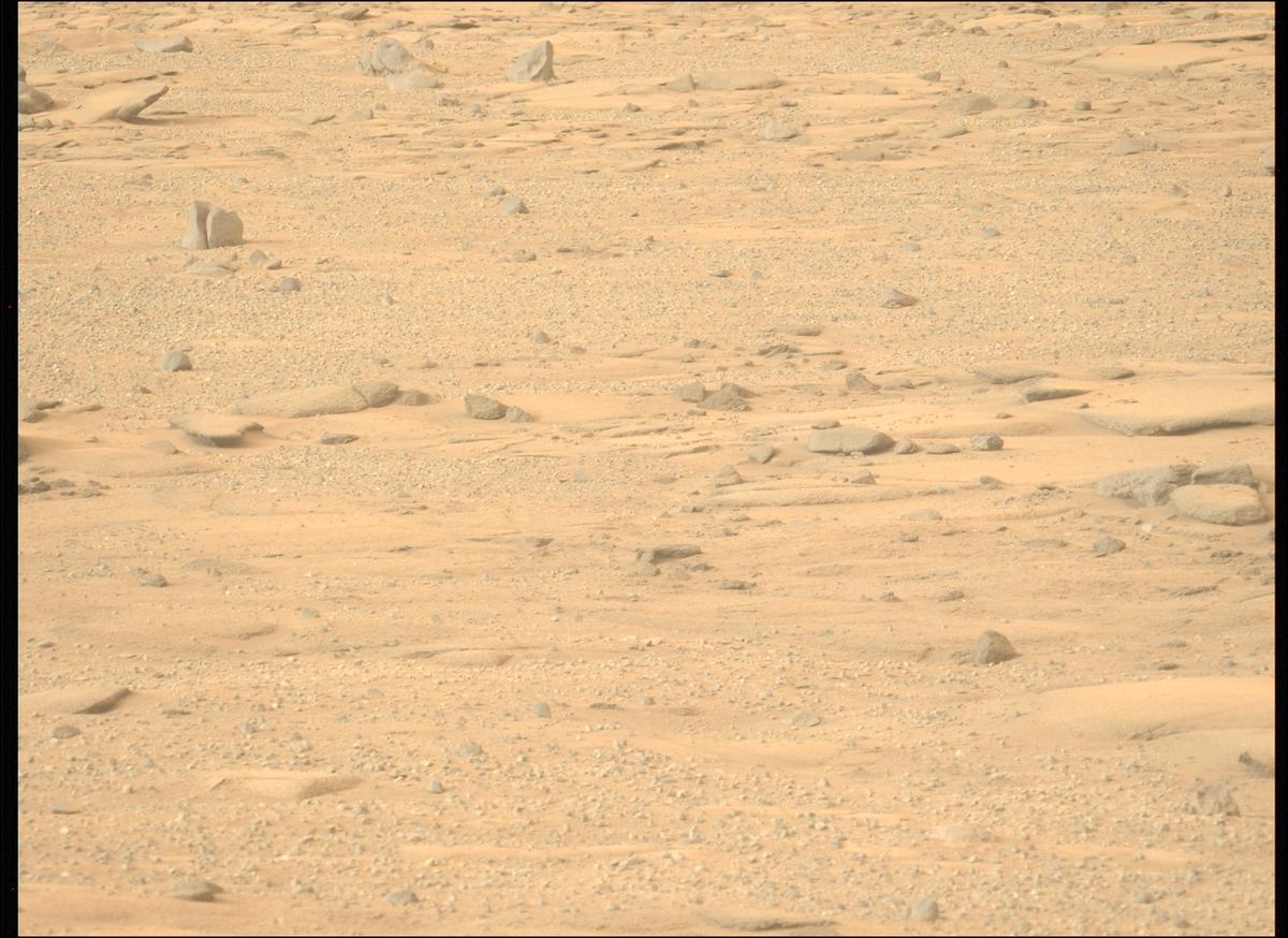 This image was taken by MCZ_LEFT onboard NASA's Mars rover Perseverance on Sol 1270
