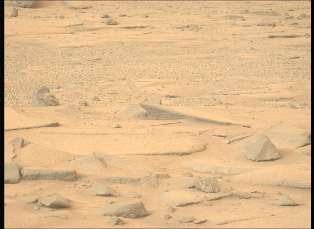 This image was taken by MCZ_LEFT onboard NASA's Mars rover Perseverance on Sol 1270