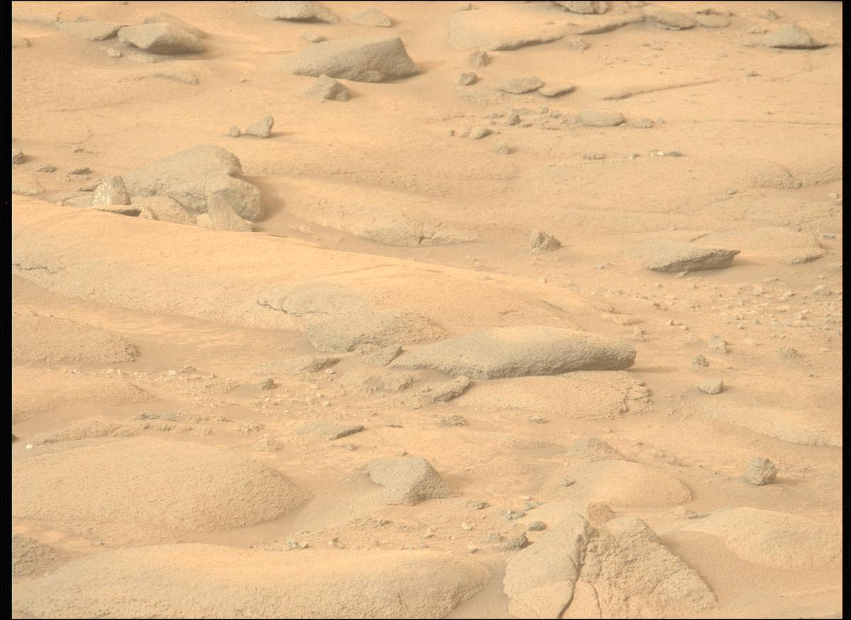 This image was taken by MCZ_LEFT onboard NASA's Mars rover Perseverance on Sol 1270