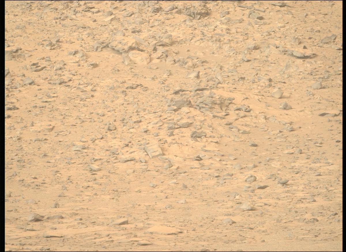 This image was taken by MCZ_RIGHT onboard NASA's Mars rover Perseverance on Sol 1270