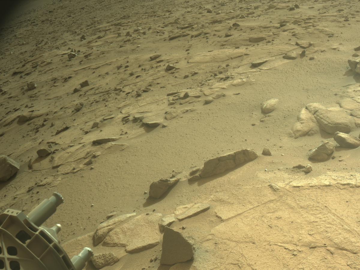 This image was taken by NAVCAM_LEFT onboard NASA's Mars rover Perseverance on Sol 1274