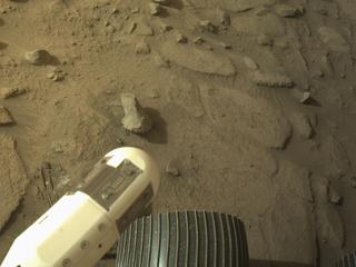 View image taken on Mars, Mars Perseverance Sol 1274: Right Navigation Camera (Navcam)