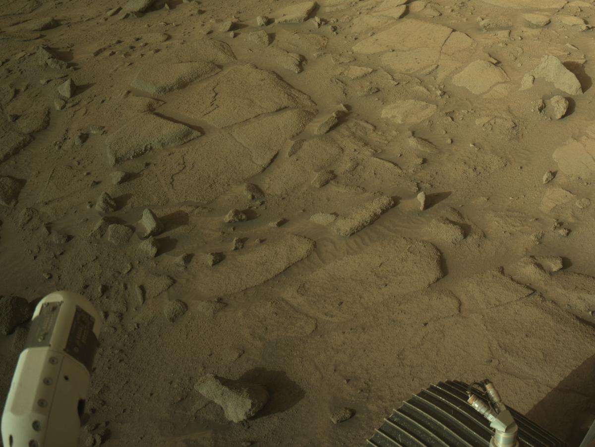 This image was taken by NAVCAM_RIGHT onboard NASA's Mars rover Perseverance on Sol 1274