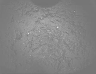 View image taken on Mars, Mars Perseverance Sol 1277: PIXL Camera 