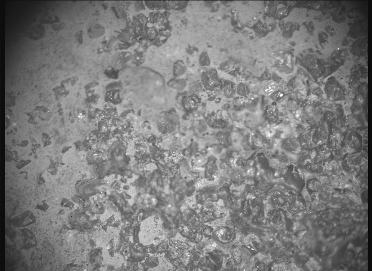 This image was taken by SHERLOC_ACI onboard NASA's Mars rover Perseverance on Sol 1277