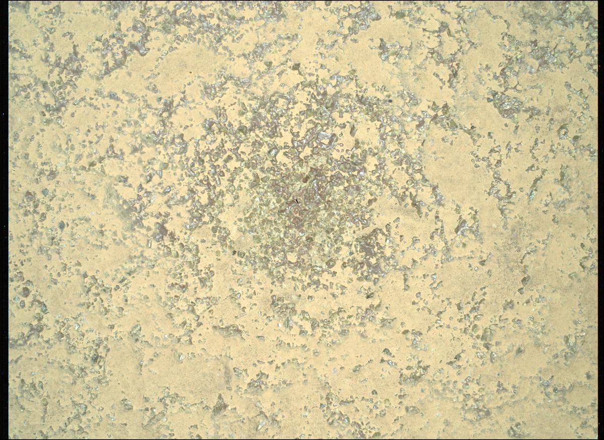 This image was taken by SHERLOC_WATSON onboard NASA's Mars rover Perseverance on Sol 1277