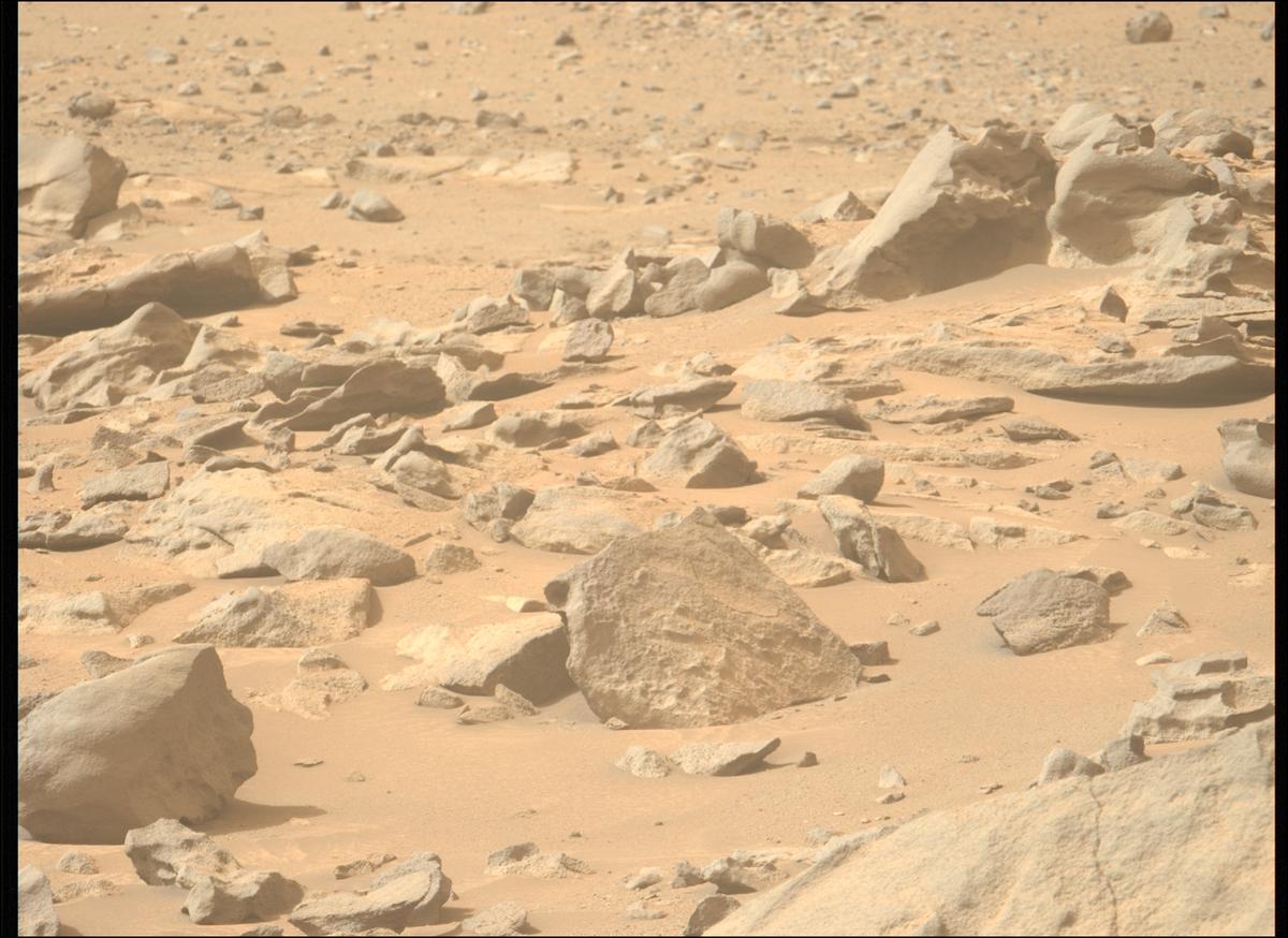 This image was taken by MCZ_LEFT onboard NASA's Mars rover Perseverance on Sol 1277