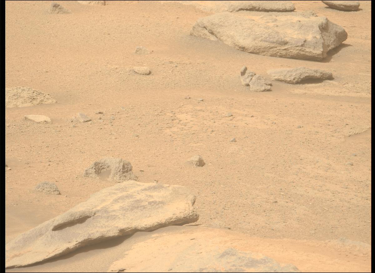 This image was taken by MCZ_LEFT onboard NASA's Mars rover Perseverance on Sol 1277