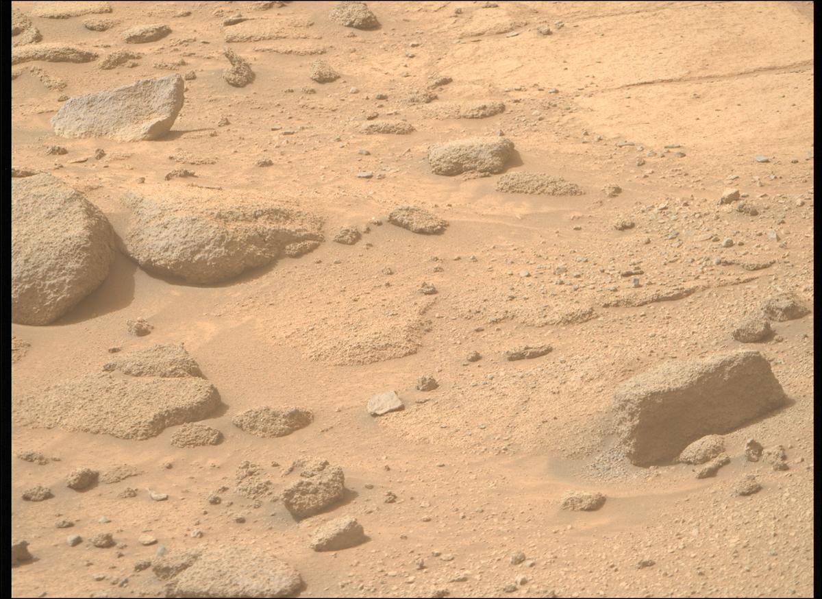 This image was taken by MCZ_RIGHT onboard NASA's Mars rover Perseverance on Sol 1277