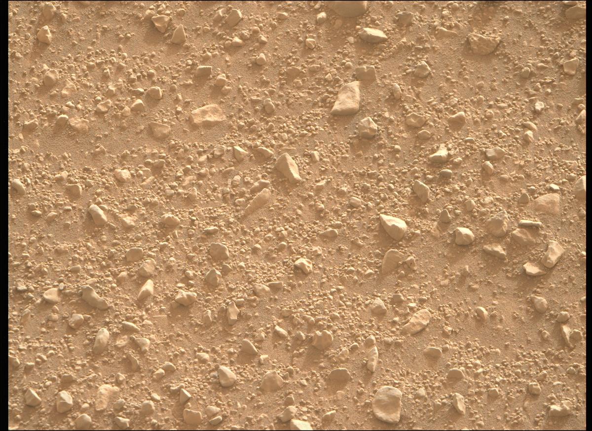 This image was taken by MCZ_RIGHT onboard NASA's Mars rover Perseverance on Sol 1278