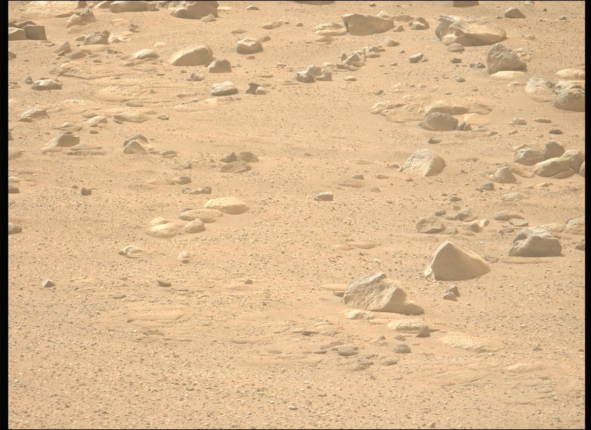 This image was taken by MCZ_LEFT onboard NASA's Mars rover Perseverance on Sol 1280