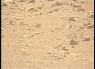 View image taken on Mars, Mars Perseverance Sol 1280: Left Mastcam-Z Camera