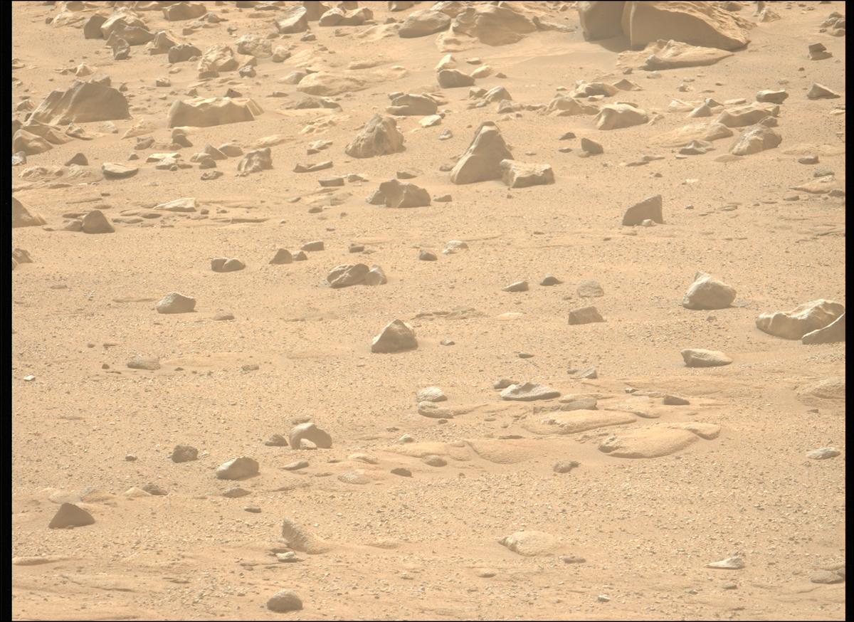 This image was taken by MCZ_LEFT onboard NASA's Mars rover Perseverance on Sol 1280