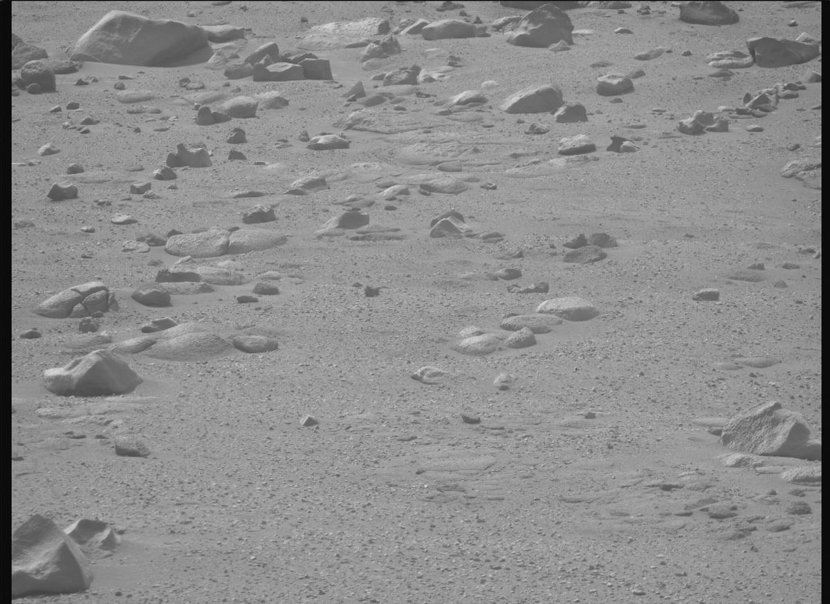 This image was taken by MCZ_RIGHT onboard NASA's Mars rover Perseverance on Sol 1280