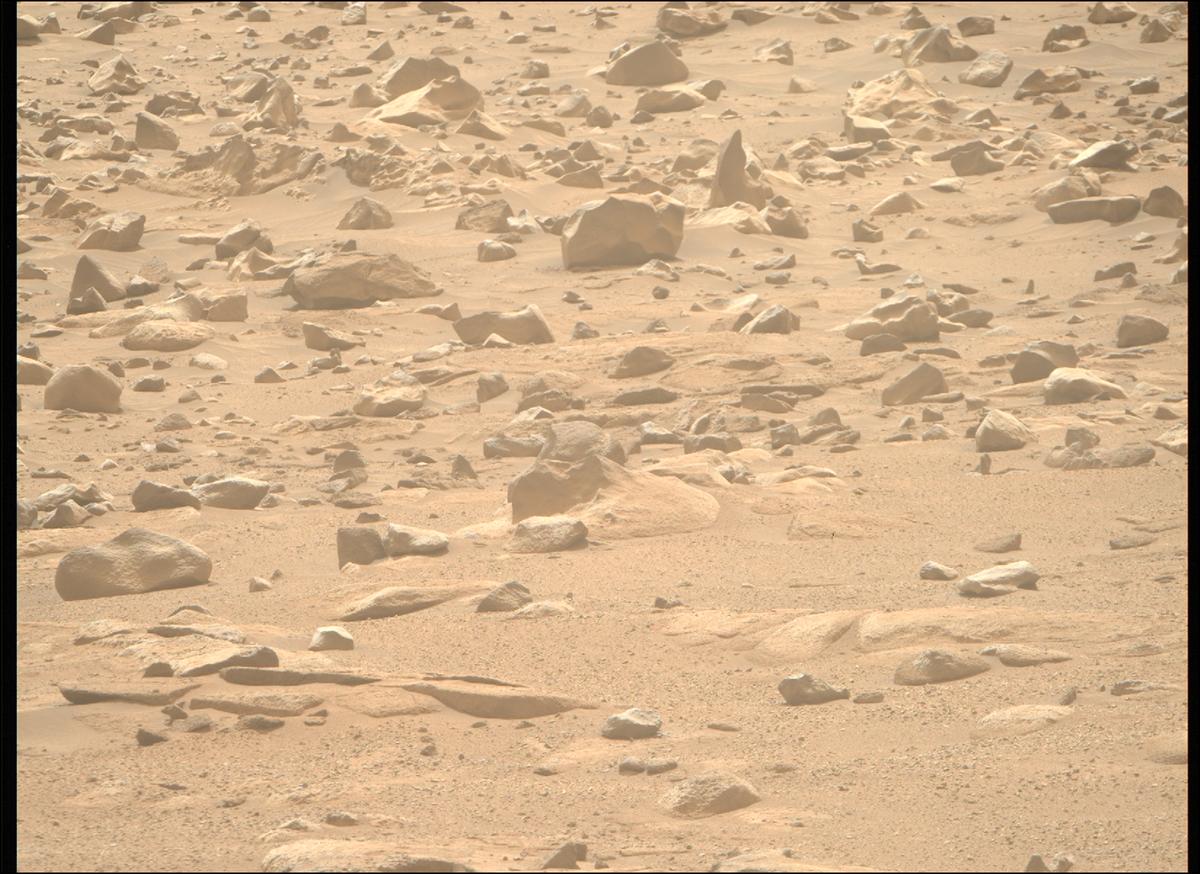 This image was taken by MCZ_RIGHT onboard NASA's Mars rover Perseverance on Sol 1280
