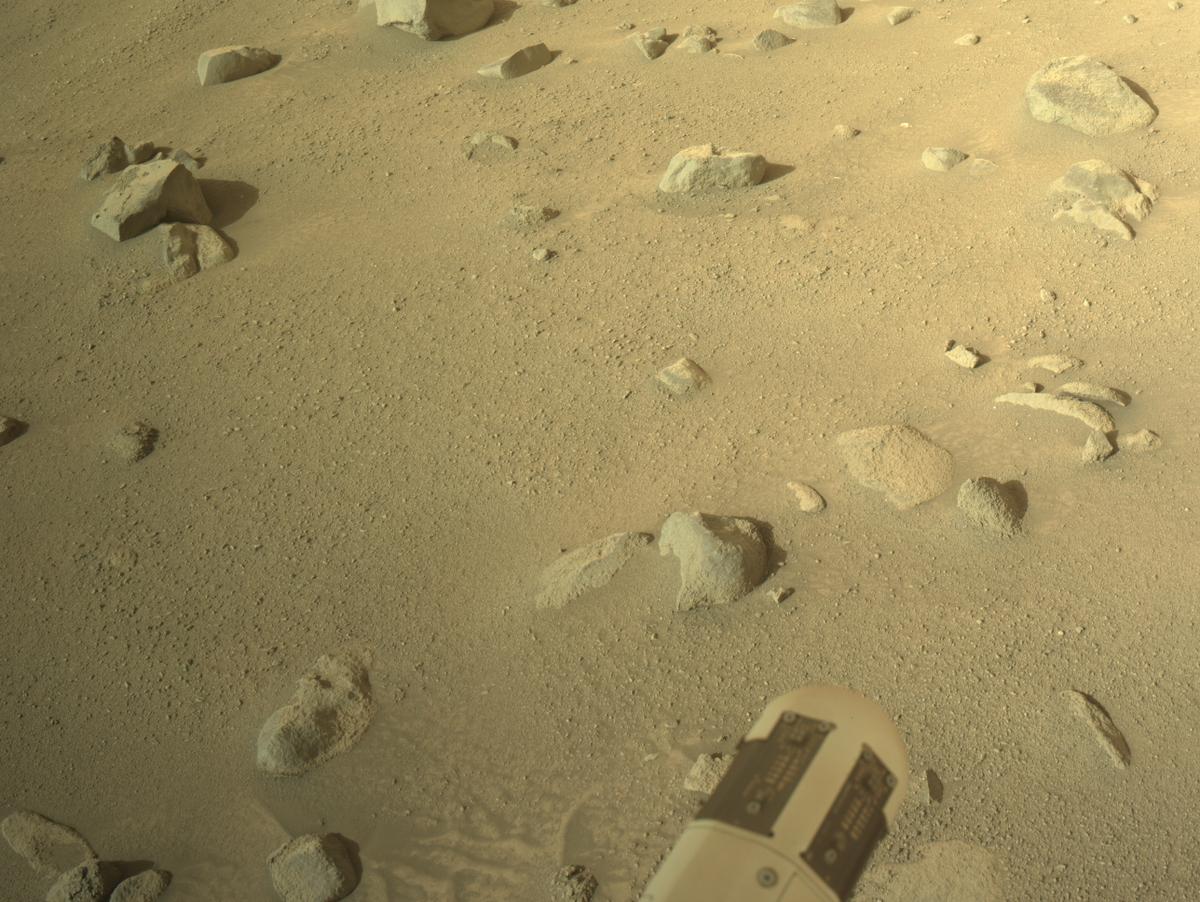 This image was taken by NAVCAM_RIGHT onboard NASA's Mars rover Perseverance on Sol 1281