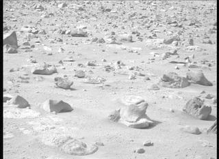 View image taken on Mars, Mars Perseverance Sol 1281: Left Mastcam-Z Camera