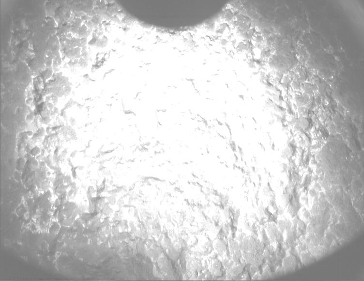 This image was taken by PIXL_MCC onboard NASA's Mars rover Perseverance on Sol 1282